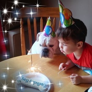 Meet your Posher, Shelly